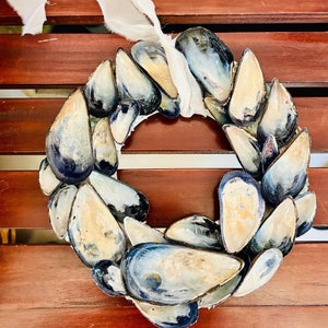 May include: A wreath made of blue and white seashells, arranged in a circular pattern. The wreath is tied with a white ribbon.