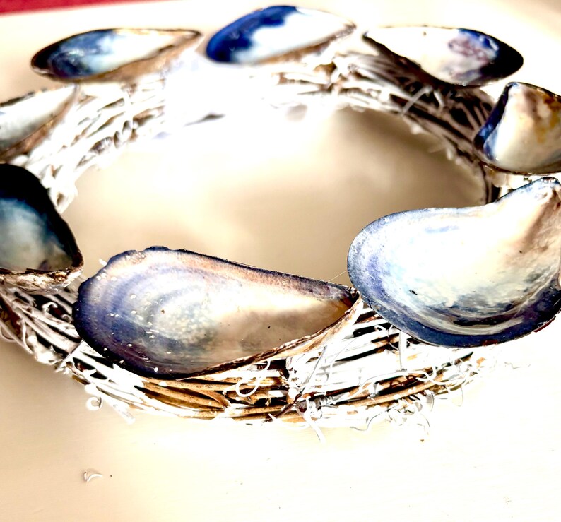 Muscle Shell Wreath Shell Wreath, Mussel Shells, Grapevine, Front Door, Mantel, Home Decor ...