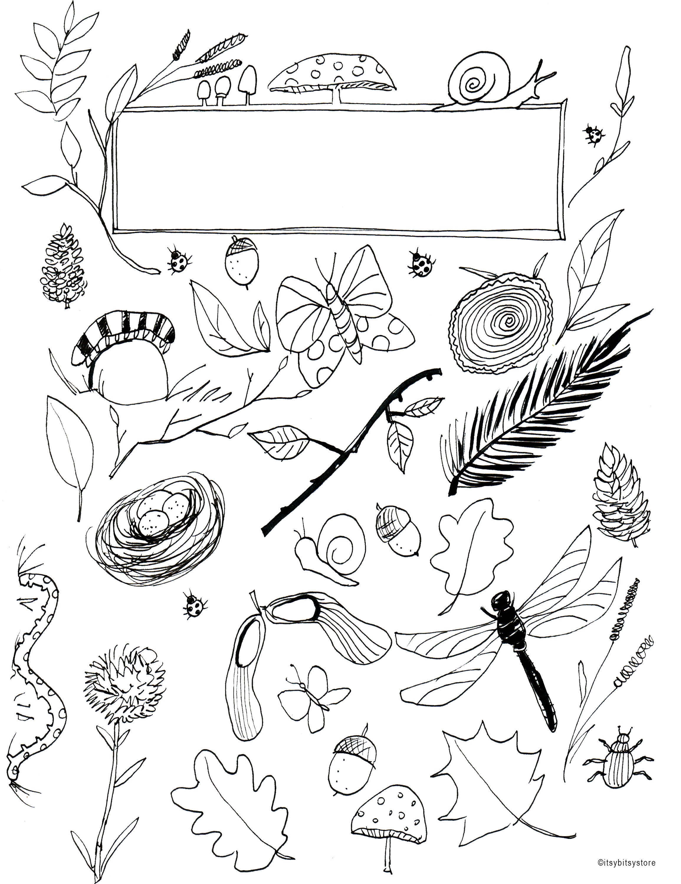 Downloadable Coloring Nature notebook cover sheet With Blank | Etsy