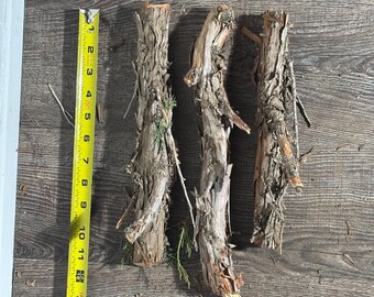 PARACORD PLANET Corde élastique En Nylon Anti-Chocs De 3/8