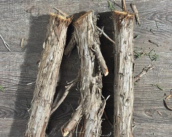 3 branches en bois de 20 à 9 pouces de long Genévrier biologique avec