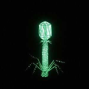 Bacteriophage Virus Enamel Pin Glow in the dark edition image 4