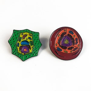 Könnte beinhalten: Zwei Emaille-Pins, die Querschnitte von Pflanzen- und Tierzellen darstellen. Der Pflanzenzellen-Pin ist grün mit einem gelben Kern und einer blauen Vakuole. Der Tierzellen-Pin ist rot mit einem violetten Kern und einem gelben Zytoplasma.
