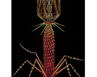 Art Print - Bacteriophage Virus - Original done on Scratchboard