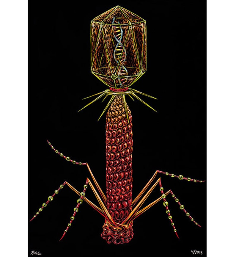 Art Print Bacteriophage Virus Original done on Scratchboard image 1