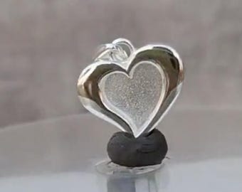 Horse Hair Jewelry Sterling Silver heart pendant other pet fur Or Cremation Ash can be used Pet Memorial