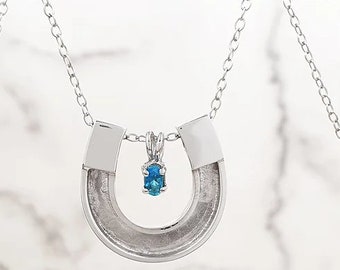 Pferdehaar Hufeisen Anhänger Halskette Schmuck Anhänger Rosshaar Schmuck Erinnerung mit CZ oder Initial Pet Memorial