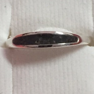 Smooth band Cremation Ash Jewelry WHITE GOLD channel ring Pet Memorial image 1