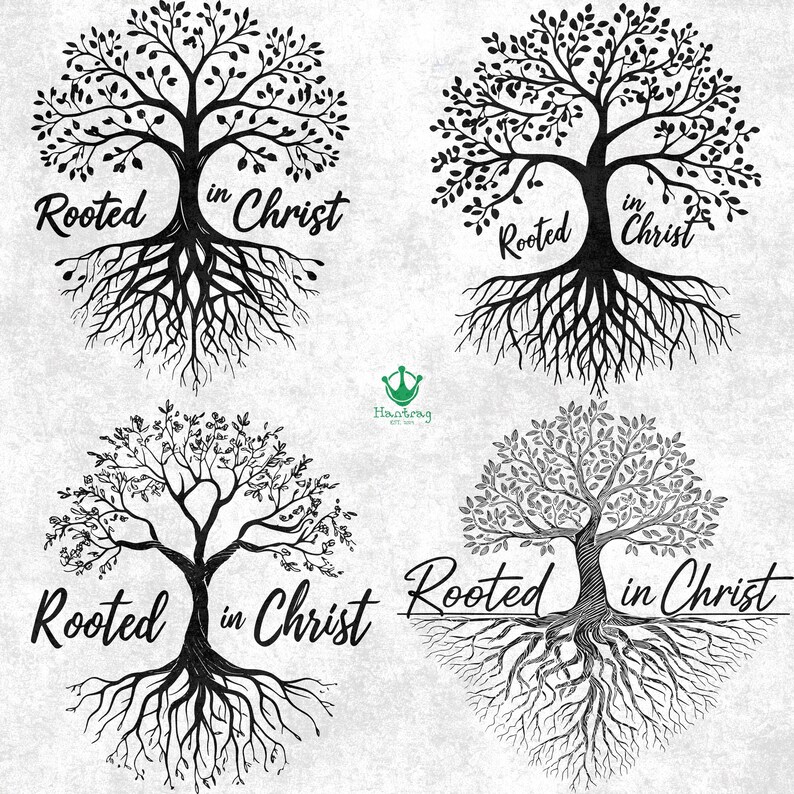 9 DESIGNS, Rooted in Christ Svg, Religious Svg, Bible Verse Shirt ...