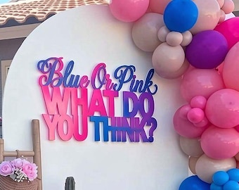 Blue Or Pink What Do You Think Sign Gender Reveal Backdrop