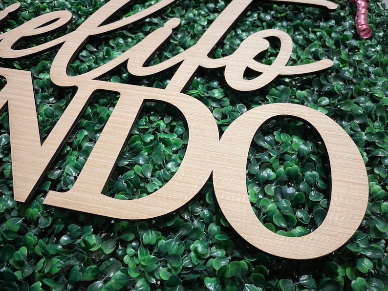 May include: Wooden sign with the words "Hello World" in a cursive font. The sign is made of light-colored wood and is set against a backdrop of green foliage. The letters are cut out, creating a three-dimensional effect.