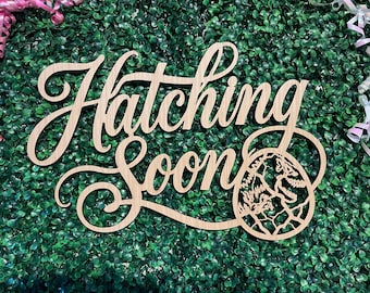 Dinosaur Hatching Soon Sign Boys Dino Nursery Wall Backdrop