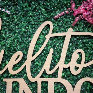May include: Wooden sign with the words "Cielito Lindo" in a cursive font. The sign is made of light-colored wood and is set against a backdrop of green foliage. A pink ribbon is in the upper right corner.