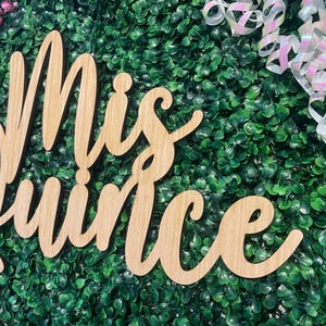 Mis Quince Sign Quinceanera Backdrop Wood Cutout Fifteenth Birthday Party Decor afbeelding 11