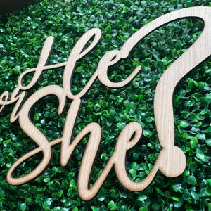 He or She Backdrop Wooden Sign, Gender Reveal Decor, Baby Shower Wood ...