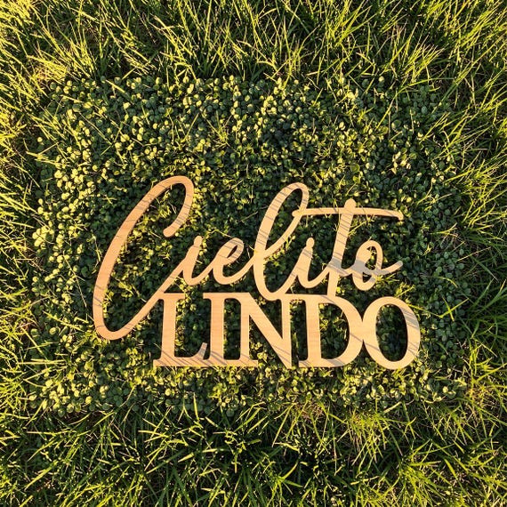 Cielito Lindo Sign: Mexican Wedding Fiesta Backdrop Cutout