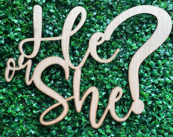 He or She Backdrop Wooden Sign, Gender Reveal Decor, Baby Shower Wood Sign
