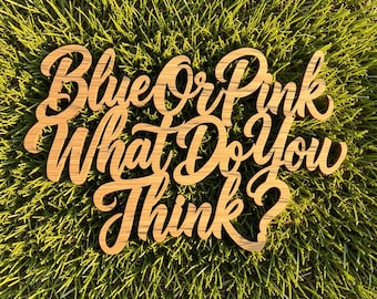 Blue or Pink What Do You Think Sign: Gender Reveal Wood Cutout