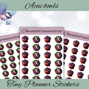 Acai planner stickers| planner stickers| tiny planner stickers |cute planner stickers |brunch sticker| fruit bowl| food sticker| Fun sticker