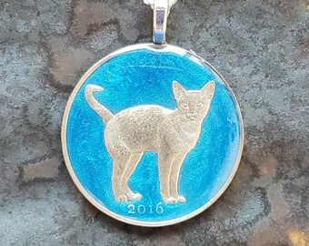 Scotland, Isle of Stroma. Abyssinian Cat Coin. Hand Painted by Ann Nolen. Coin size Medium, about 1-1/4 inch. Coin date 2016. Coin Jewelry!