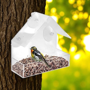 Mangeoire pour oiseaux sauvages avec fenêtre transparente pour maison