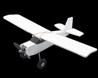 FT Mighty Mini Tiny Tutor