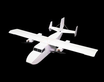 FT Świnka morska MKR2