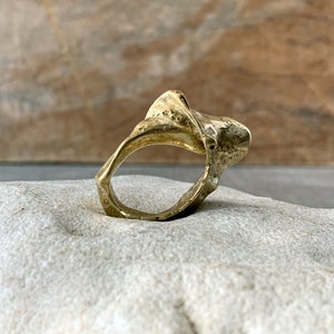 Shell Fossil Ring - Gold Chunky Solid Bronze Organic Statement Ring - Nature Sculptural