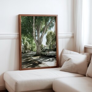 May include: A framed photograph of a vintage white car driving down a tree-lined street. The car is parked in front of a large tree with lush green leaves. The houses on the street are white with green trim.