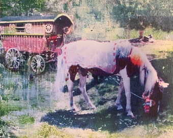 Horse, Caravan, Unique, Fine Art, Reproduction, Print, 8 x 10, Romani, Roma, Wagon, Vardo, Red, Green, Landscape, Camp, Boho