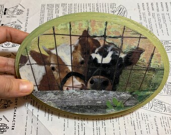 Baby Cows, 5 x 7, Original Art, Mixed Media, Miniature, Unique Art, Photography, Oval, Farm