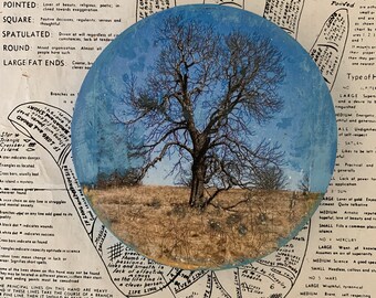 Forked, Tree, Blue, Sky, Round, 5 x 5, Original, Art, Mixed Media, Miniature