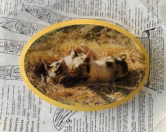 Pigs, 5 x 7, Original Art, Mixed Media, Miniature, Unique Art, Photography, Oval, Farm