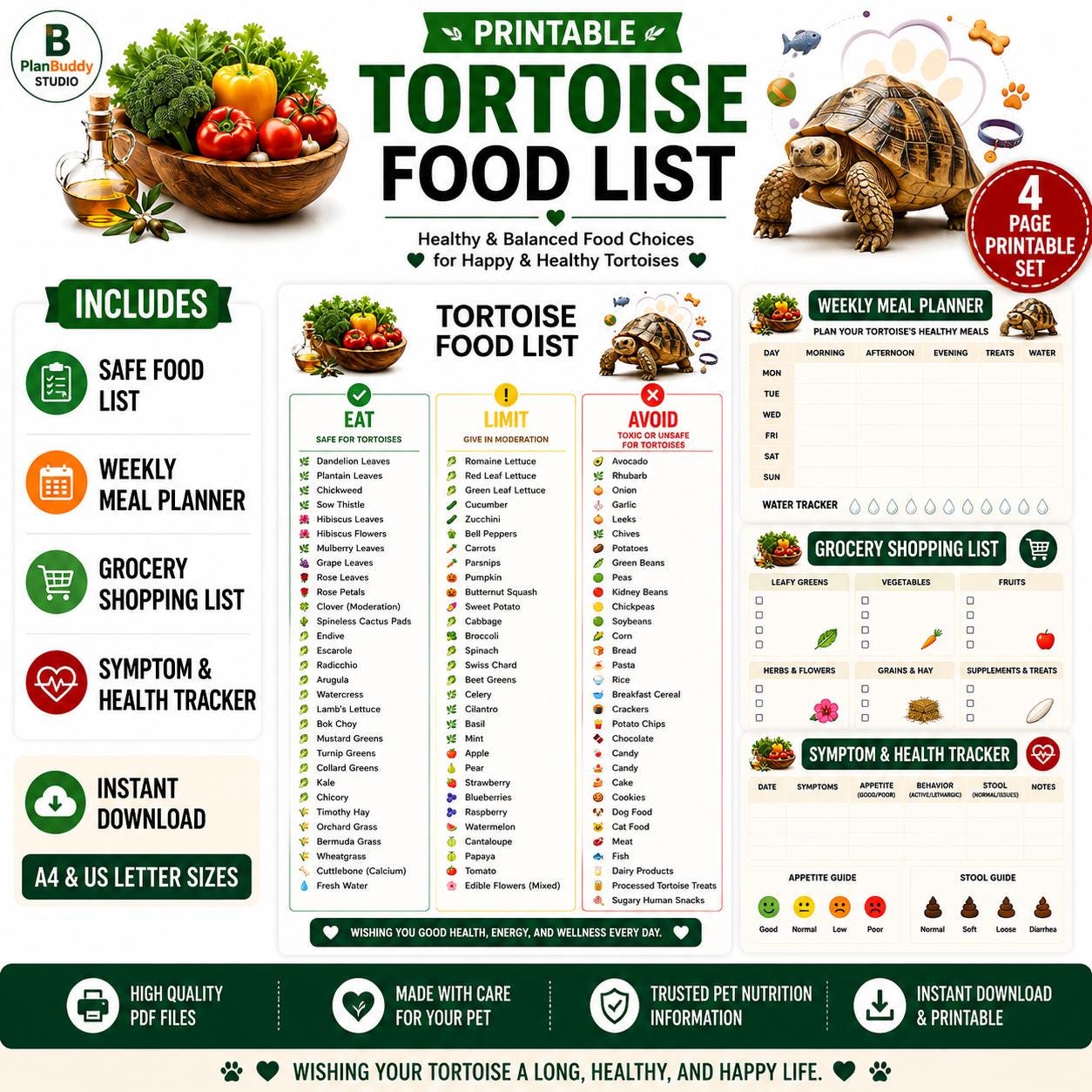 Tortoise Food - Etsy Canada