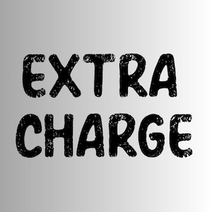 May include: The words EXTRA CHARGE are written in a bold, black, sans-serif font with a textured, distressed appearance. The letters are arranged in two lines, centred against a plain, light grey background that fades to white at the edges.