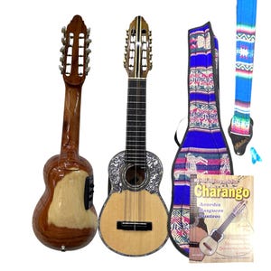 Professionelle Elektroakustische Charango – Quina Quina Körper