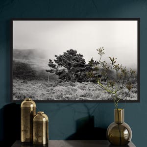 May include: A black and white photograph of a lone tree in a foggy landscape. The tree is silhouetted against the fog, and the branches are bare. The photograph is framed in a black frame and is hanging on a wall above a shelf with two gold decorative containers and a brown glass vase with dried flowers.
