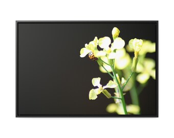 Ladybug in Black Original Artwork Framed Canvas Print Home Decor Nature Picture Flower Insect Wall Art Affordable Luxury Photography Gift