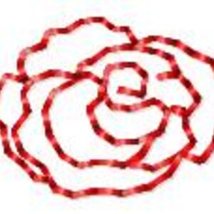 Delicate Rose