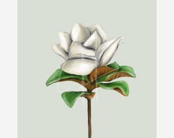 Witte magnolia bloemenkunstprint | Handgetekende botanische kunstwerken (digitale download)