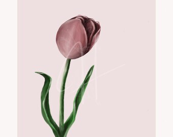 Roze tulp bloemenkunstprint | Handgetekend botanisch (digitale download)