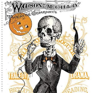 Costume Maker&#39;s Act II Main Panel for Halloween by J. Wecker Frisch for Riley Blake Fabrics, PD16000-PANEL 24&quot; x 43&quot;
