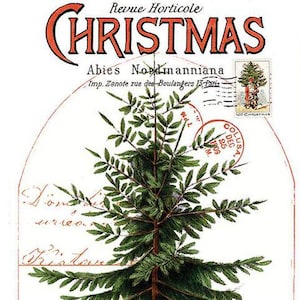 Classic Christmas Botanical Main Panel 24&quot; x 43&quot; from Classic Christmas Collection by J. Wecker Frisch, Riley Blake Designs PD16280-PANEL