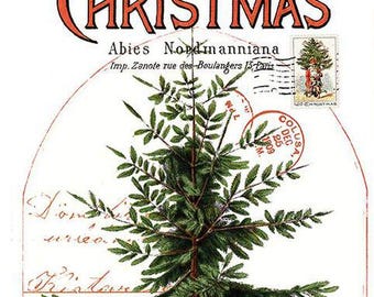 Classic Christmas Botanical Main Panel 24" x 43" from Classic Christmas Collection by J. Wecker Frisch, Riley Blake Designs PD16280-PANEL