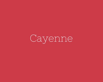 Cayenne Red Confetti Cotton 1/2 yard Solid Quilting Fabric by Riley Blake Designs