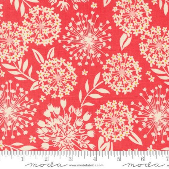 Tango: Simpatico in Tangerine Tango: Simpatico in Tangerine