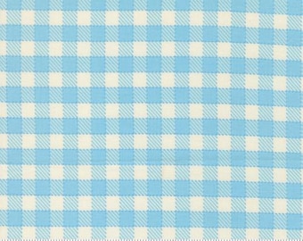 Animal Park Fun Sky 20966 13 by Stacy Iest Hsu for Moda Fabrics -sold by the half yard, Baby Check Checks and Plaids