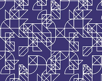 Dear Diary by Libs Elliott- Pony Boy Geometric in Jam- Andover- Century Prints - CS-24-Jam - 1/2 Yd cuts, 100% cotton