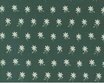 Imaginary Flowers Spruce 48384 16 by Gingiber and Moda Fabrics -sold by the half yard
