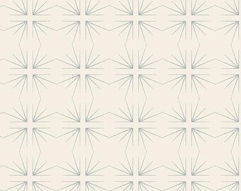 Shadow and Light  - Sunburst Carbon, sold by  1/2 yd, a great blender or background fabric - A-9896-C